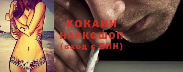 МДПВ Домодедово