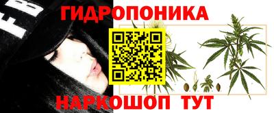 индика Абинск