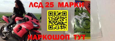 СК Абакан
