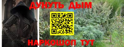 гидра Гагарин