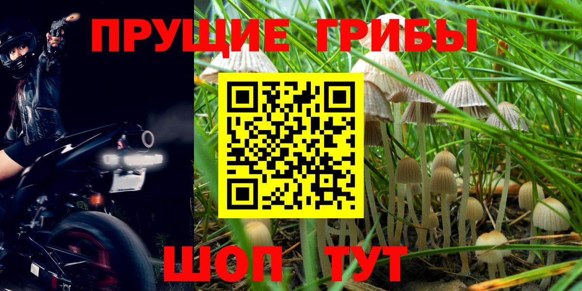 Галлюциногенные грибы Magic Shrooms Россия