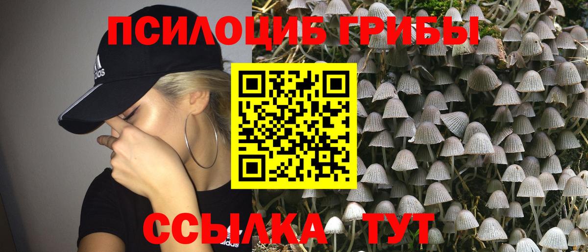Россия  Псилоцибиновые грибы мицелий  Вход с VPN 