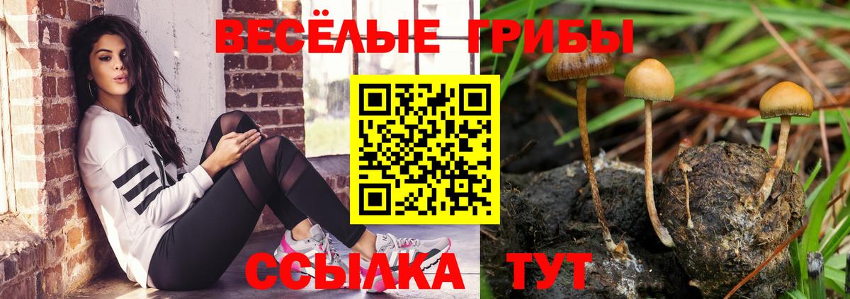 Галлюциногенные грибы мицелий Россия
